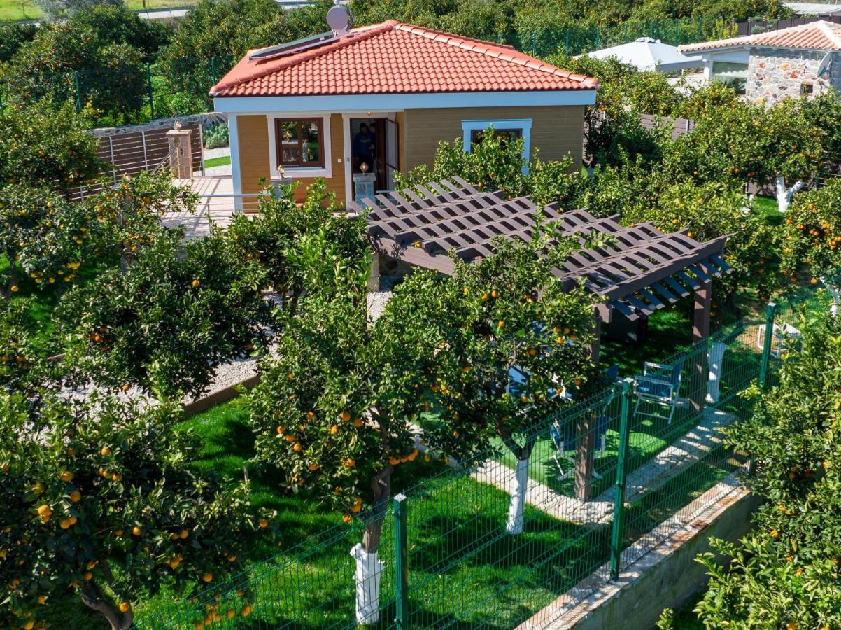 Desa Green Homes Epidaurus Exteriér fotografie