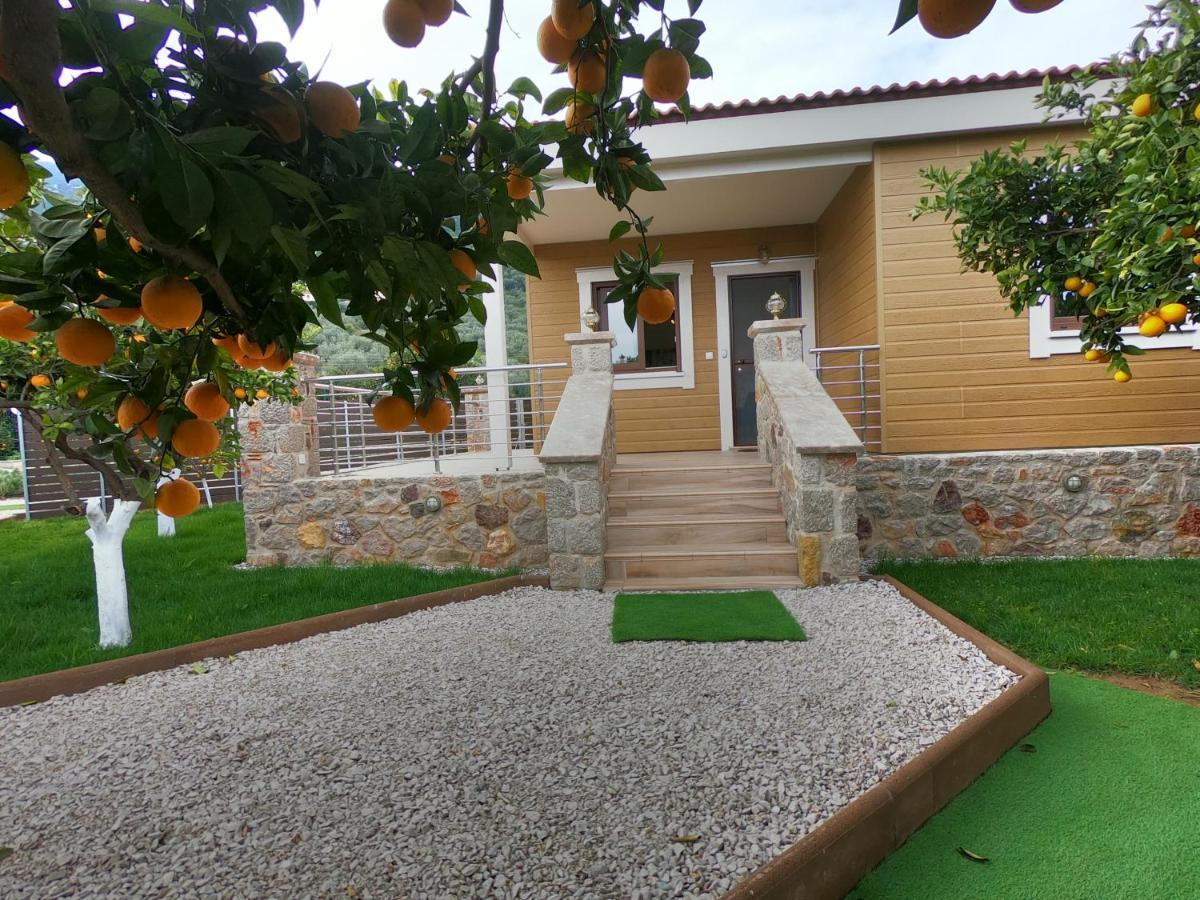 Desa Green Homes Epidaurus Exteriér fotografie